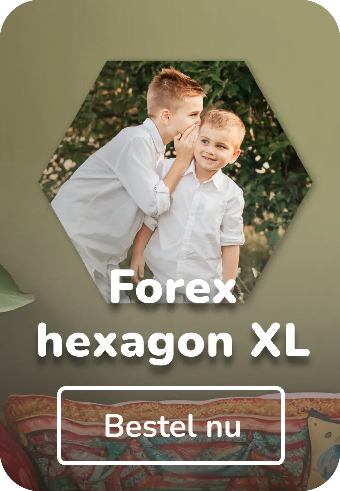 Foto op forex hexagon XL