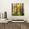 Bos - Zon - Bomen - Gras - Landschap  - Natuur plexiglas 5mm klein -sfeer1