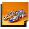 Kreeft - Delftsblauw - Schild - Stoer - Oranje Inductie beschermer vinyl 3mm middel -3d