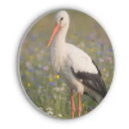 Ooienvaar - Bloemen - Weide - Kleurrijk Akoestische PET Vilt - Rond klein -3d