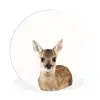 Dieren - Hert - Kinderen - Meisjes - Bosdieren Wandcirkel kunststof plaat 5mm dik klein -3d