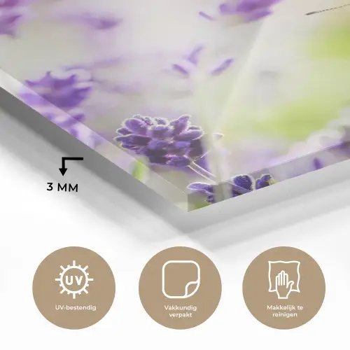 Lavendel - Vlinder - Bloemen plexiglas 5mm klein -sfeer2