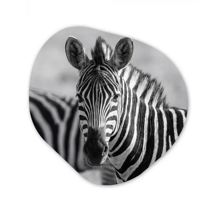 Zebra's - Zwart - Wit Wandcirkel Organisch Aluminium middel -3d