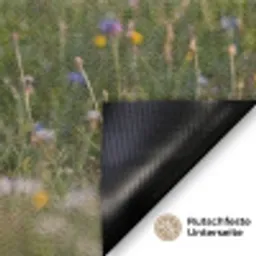 Ooienvaar - Bloemen - Weide - Kleurrijk Deurmat klein -antislip_DE