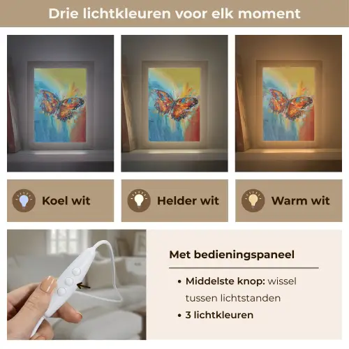 Vlinder - Kleuren - Kunst - Schilderij Light Box met kabel (Tafellamp) klein -USP_lichtkleurNL