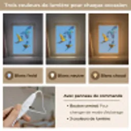 Papagaai - Vliegen - Blauw - Geel Light Box met kabel (Kinderlampje) klein -USP_lichtkleurFR