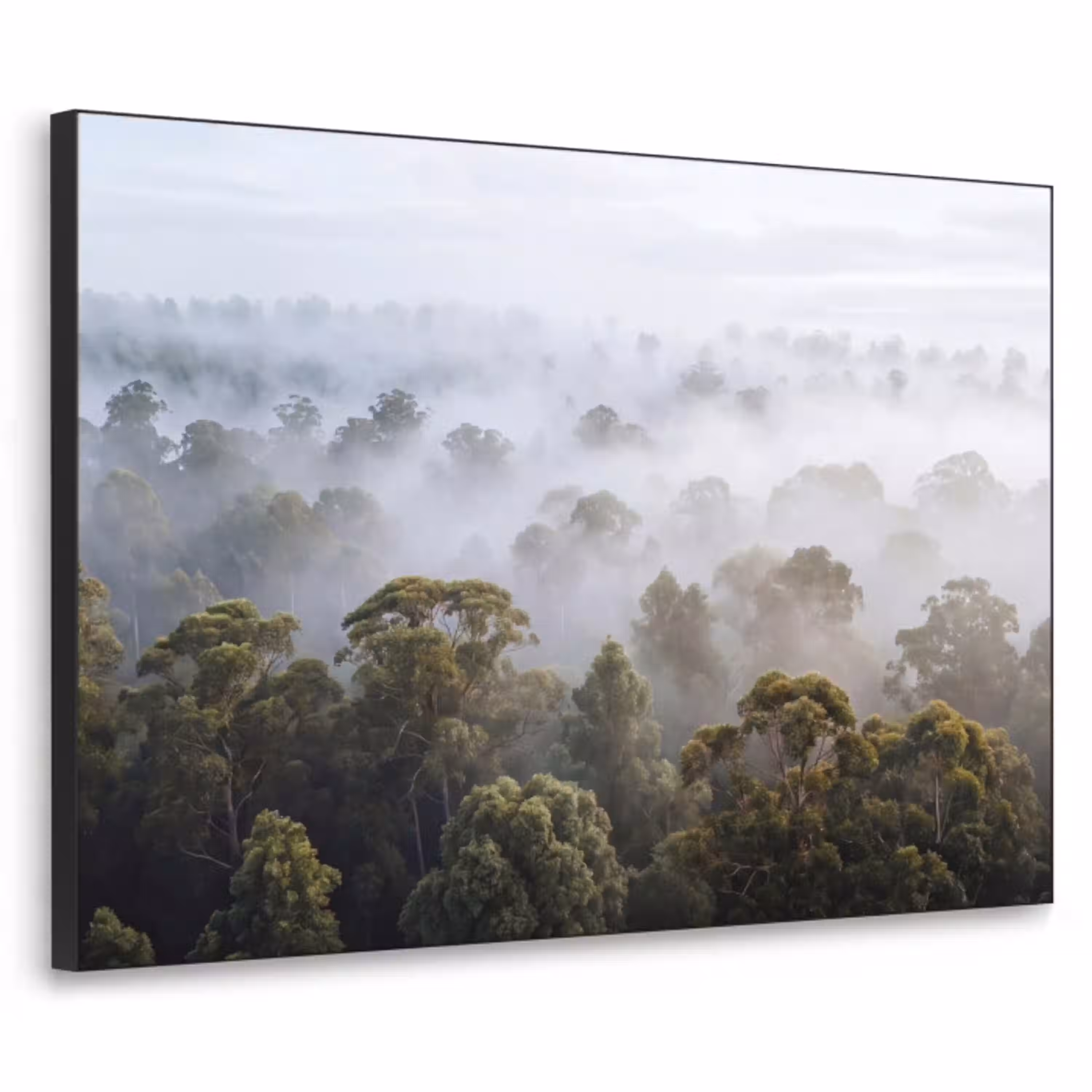 Natuur - Mist - Bos - Ochtend - Goud Textielframe zwart klein -3d