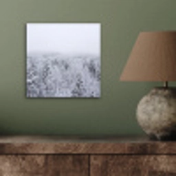 Bos - Sneeuw - Winter - Natuur - Wit aluminium wit klein -sfeer2