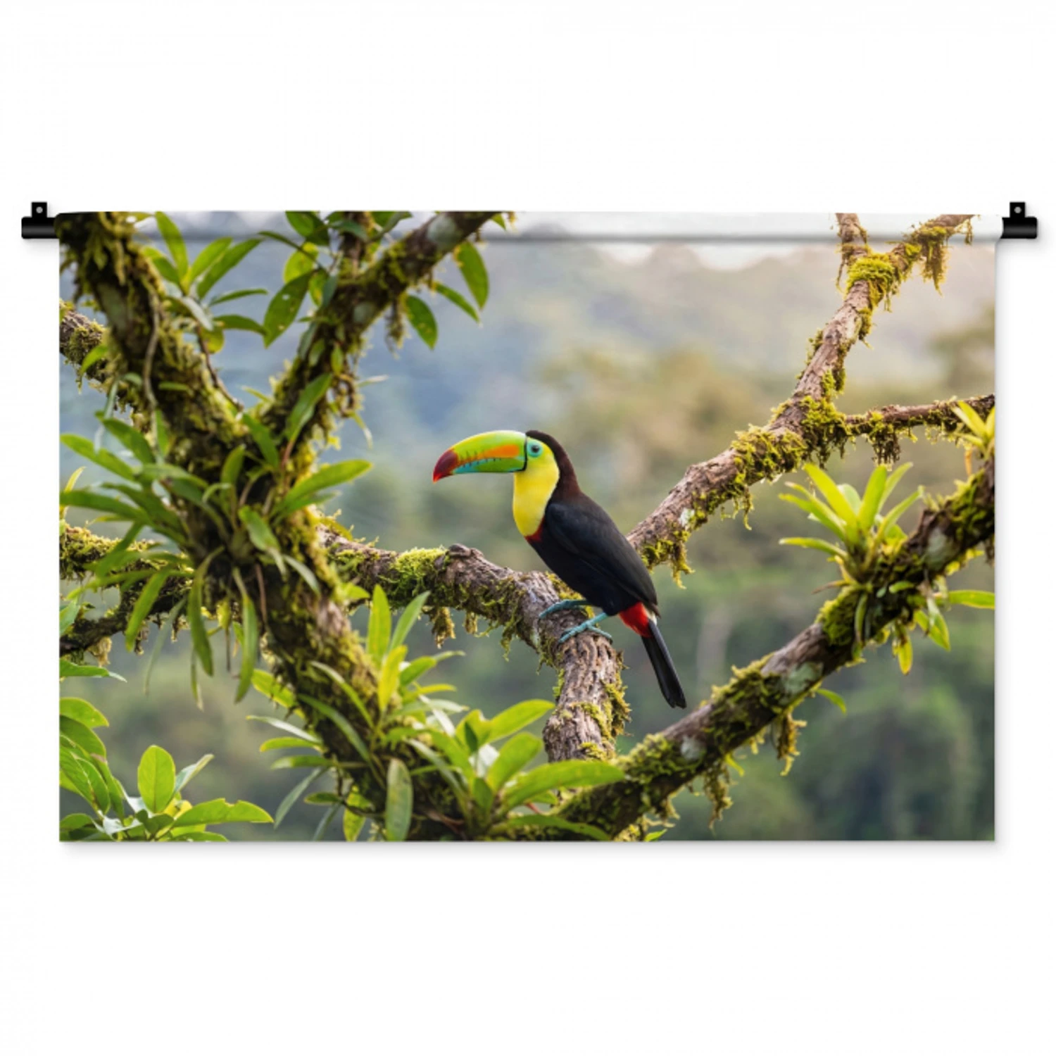 Toekan - Jungle - Natuur - Kleurrijk Wandkleed katoen middel -zz3d