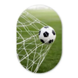 Voetbal - Goal - Net - Sport Wandcirkel Ovaal Forex klein -3d