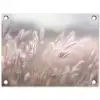 Graspluimen - Wind - Beige - Mistig tuinposter los doek klein -3d