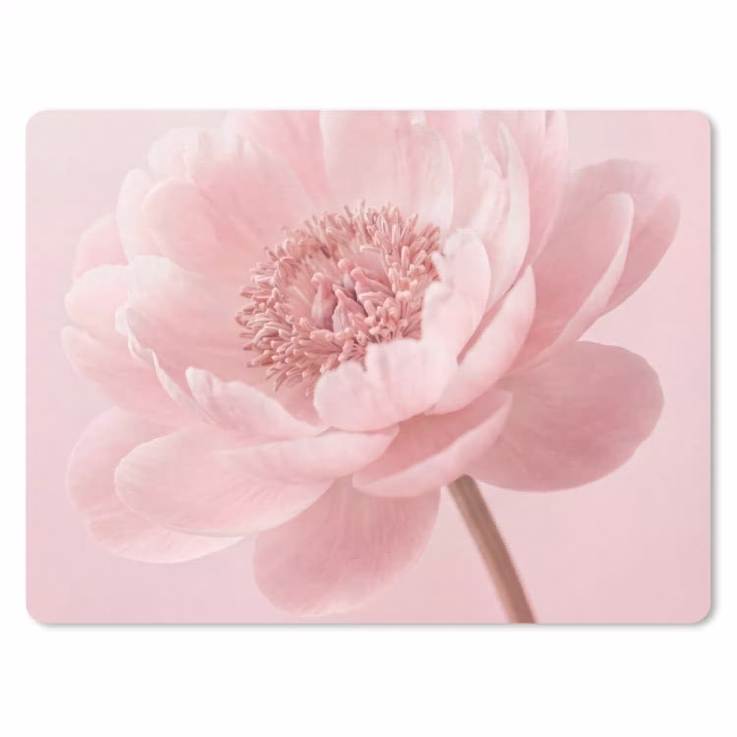 Bloem - Pioenroos - Roze muismat rubber klein -3d