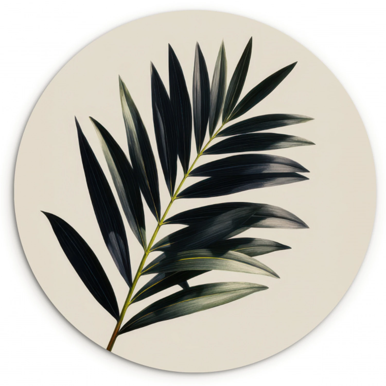 Palmblad - Subtiel - Groen - beige Wandcirkel kunststof plaat 5mm dik klein -3d