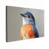Kleurrijk - Vogeltje - Veren - Blauw Tuinposter op houten frame 2 cm dik klein -3d