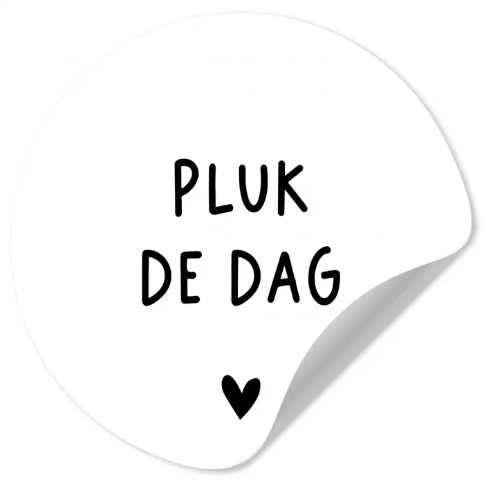 Spreuken - Quotes - Pluk de dag - Carpe diem Wandcirkel behangsticker klein -3d