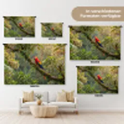 Ara - Jungle - Rood Wandkleed katoen klein -tsfeer8_DE