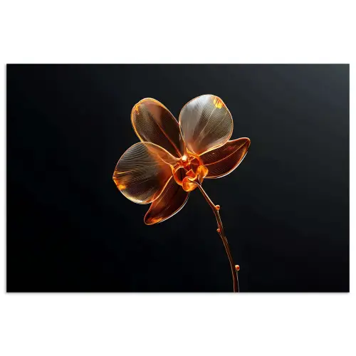 Orchidee - Doorzichtig - Bloem poster papier klein -3d