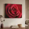 Rood - Roos - Romantisch Textielframe zwart klein -sfeer3