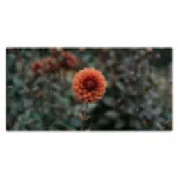 Dahlia - Bloem - Natuur - Sfeervol Muismat XXL klein -3d_leeg