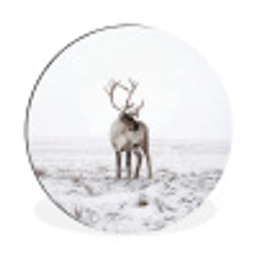 Rendier - Gewei - Sneeuw - Winter Wandcirkel aluminium klein -3d