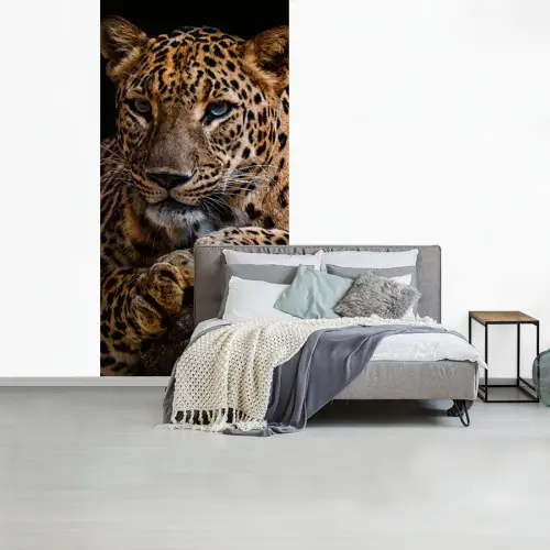 Wilde dieren - Panter - Portret - Zwart - Dieren fotobehang vinyl groot -slaapkamer