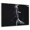 Koi - Vissen - Water - Zwart Textielframe zwart klein -3d