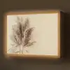 Graan - Pastel - Natuur Light Box met batterij (Wandlamp) middel -z3d_website