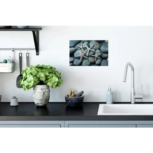 Zeesterren - Stenen - Wit Muursticker klein -keuken