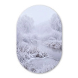 Rivier - Sneeuw - Bos - Winter - Schilderachtig Wandcirkel Ovaal Forex klein -3d