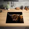 Schotse Hooglander - Horens - Zwart - Dieren - Natuur - Wild - Koe Inductie beschermer vinyl 3mm middel -sfeer5