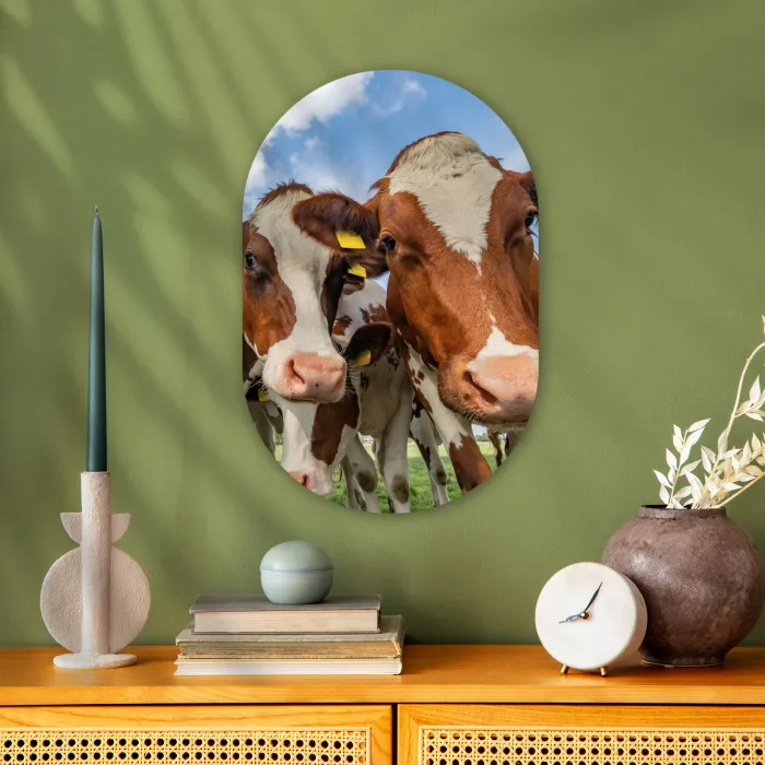 Koeien - Dieren - Weiland - Natuur Wandcirkel Ovaal Forex klein -sfeer2