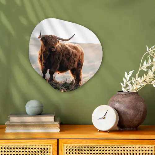 Schotse hooglander - Dieren - Landelijk - Landschap - Koe - Natuur Wandcirkel Organisch Forex 3mm klein -sfeer2