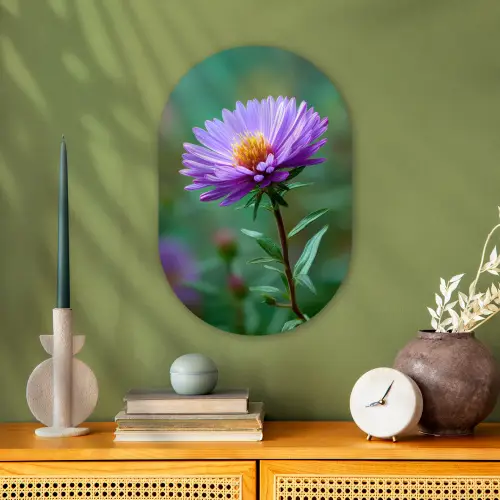 Aster - Paars - Bloem - Blaadjes Wandcirkel Ovaal Forex klein -sfeer2