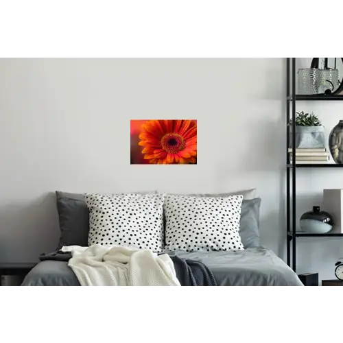 Oranje - Gerbera - Intens Muursticker klein -slaapkamer