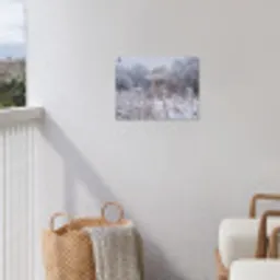 Schermbloem - Rijp - Kristallen - Winter - Delicaat tuinposter los doek klein -sfeer8