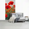 Klaproos - Bloemen - Wilde bloemen fotobehang vinyl groot -slaapkamer