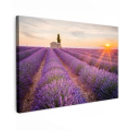 Lavendel - Zonsondergang - Bloemen - Paars canvas 2cm klein -z3d