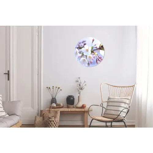 Bloemen - Sakura - Tak - Bloesem takken Wandcirkel aluminium klein -woonkamer