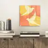 Vogels - Cirkels - Geel plexiglas 5mm klein -sfeer1