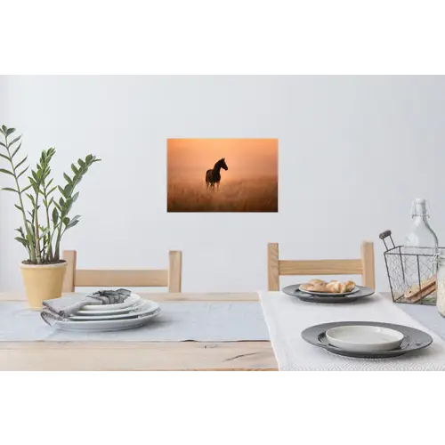 Paard - Grasveld - Zonsondergang Muursticker klein -eettafel