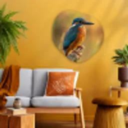 IJsvogel - Tak - Water - Kleurrijk - Levendig Wandcirkel Organisch Aluminium middel -sfeer4