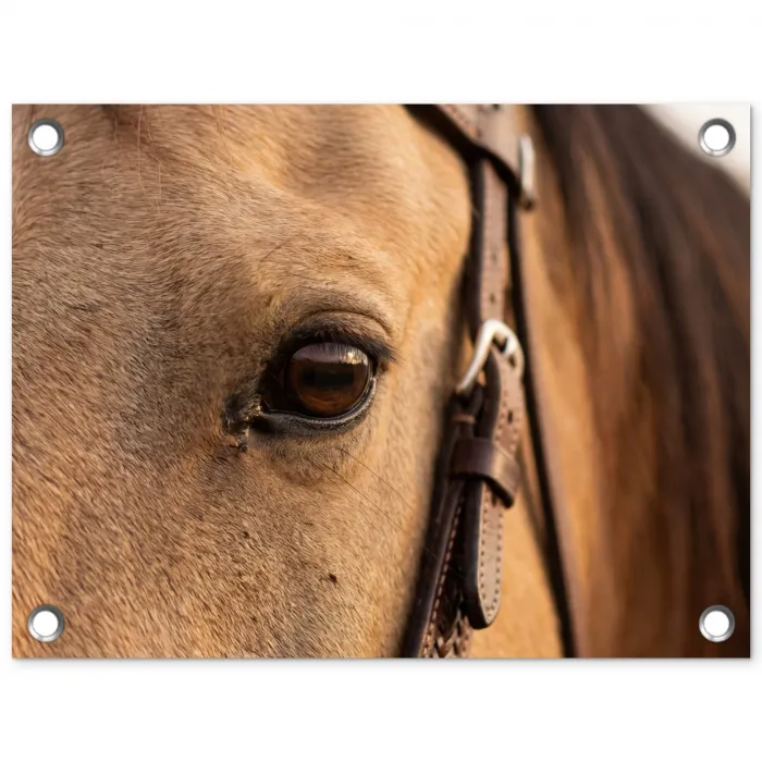 Paard - Oog - Bruin tuinposter los doek klein -3d
