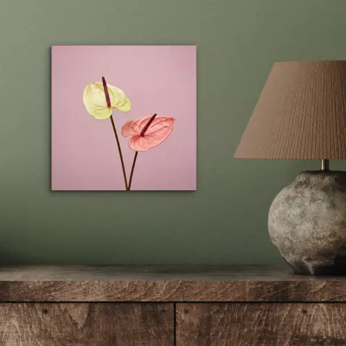 Bloemen - Anthuriums - Geel - Roze aluminium wit klein -sfeer2