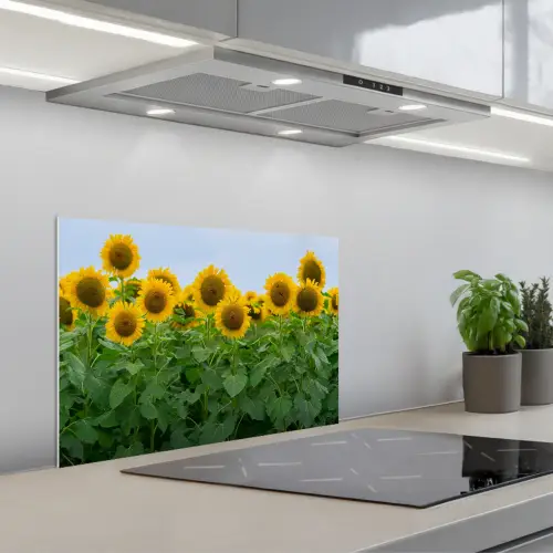 Zonnebloemen - Geel - Natuur keuken achterwand spatscherm klein -3d_schuin