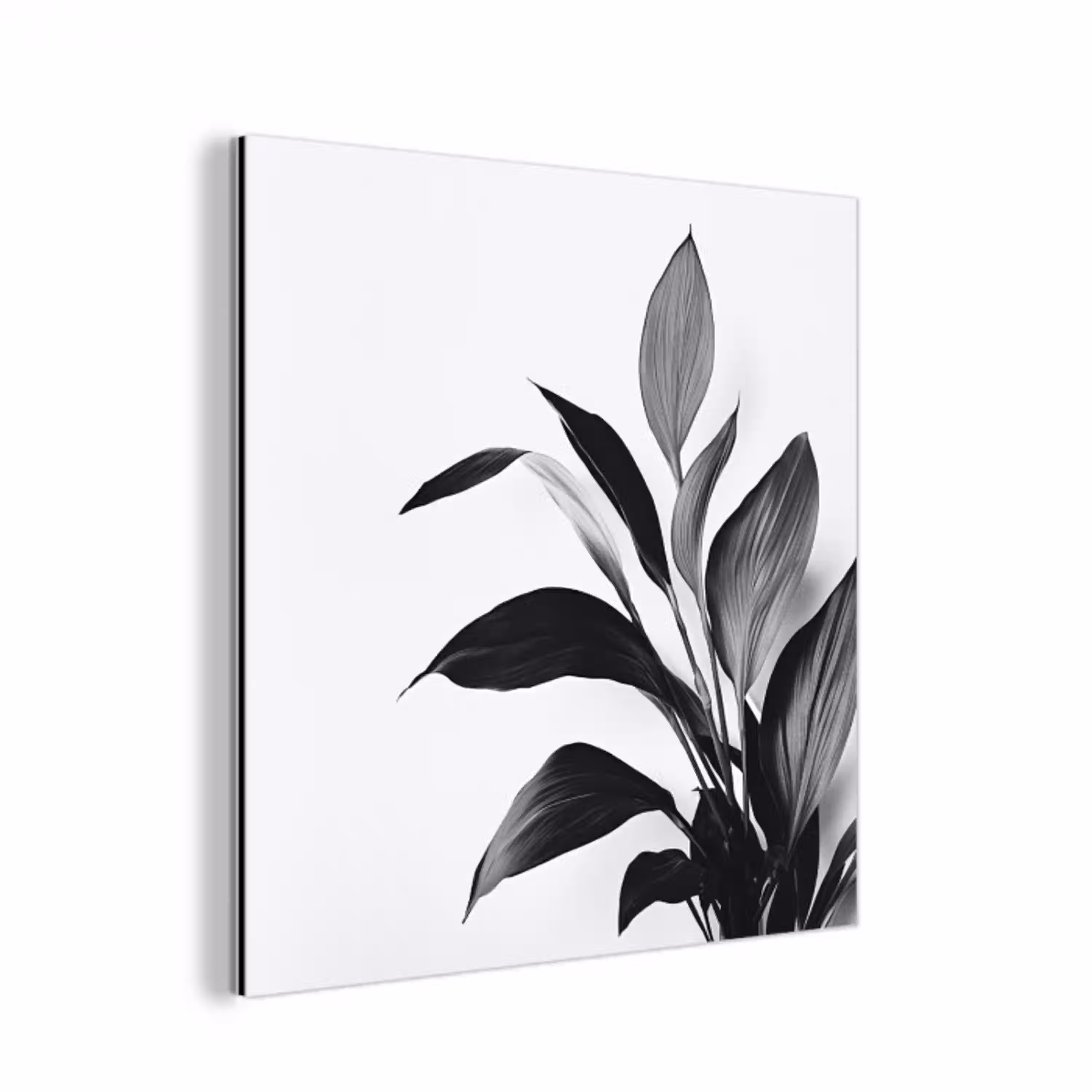 Plant - Bladeren - Minimalistisch - Zwart aluminium wit klein -3d