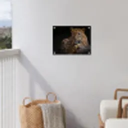 Wilde dieren - Panter - Portret - Zwart - Dieren tuinposter los doek klein -sfeer8