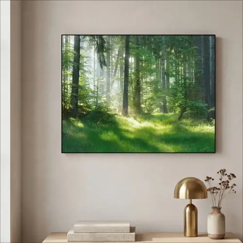Natuur - Bomen - Bos - Groen - Zon - Gras - Planten Textielframe - compleet frame klein -sfeer2