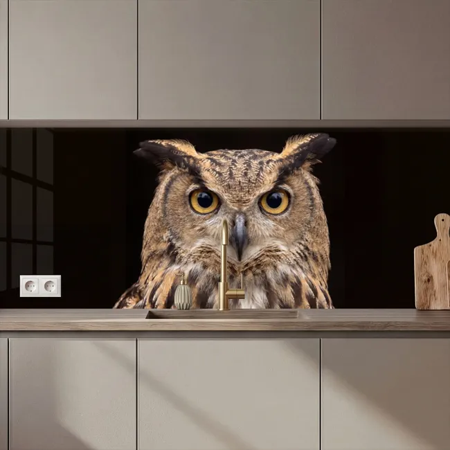 Keuken achterwand - Oehoe - Uil - Portret - Bruin