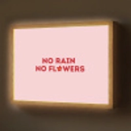 No rain no flowers - Minimalistisch - Roze - Bloem Light Box met batterij (Wandlamp) middel -z3d_website