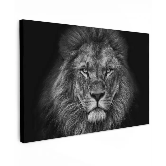 Leeuw - Dieren - Zwart - Wit canvas 2cm klein -z3d